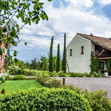 Annia Park Hotel Venice Airport-2